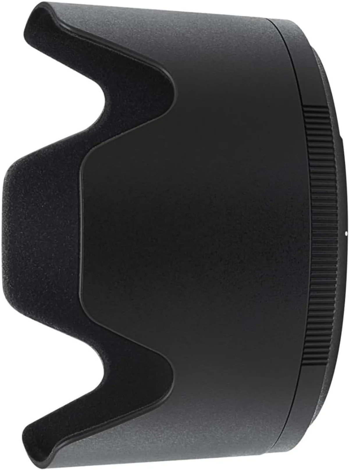 Nikon NIKKOR Z 70-200mm f/2.8 VR S — detail close-up