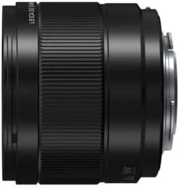 Panasonic Leica DG SUMMILUX 9mm F1.7 ASPH (MFT) — detail close-up