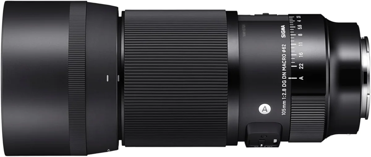 Sigma 105mm f/2.8 DG DN Macro Art (Sony E) — detail close-up