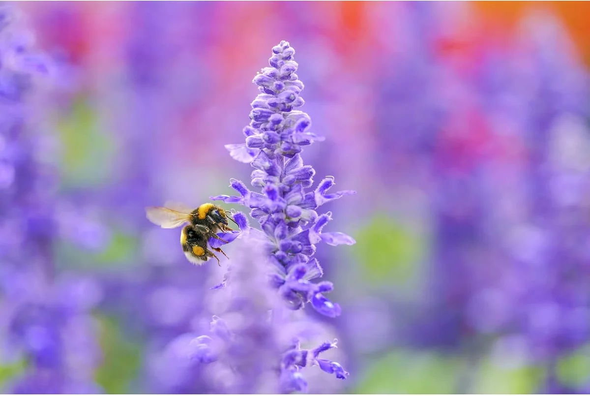Sigma 105mm f/2.8 DG DN Macro Art (Sony E) — angle 5