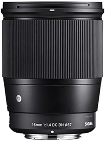 Sigma 16mm f/1.4 DC DN Contemporary (Sony E) — detail close-up