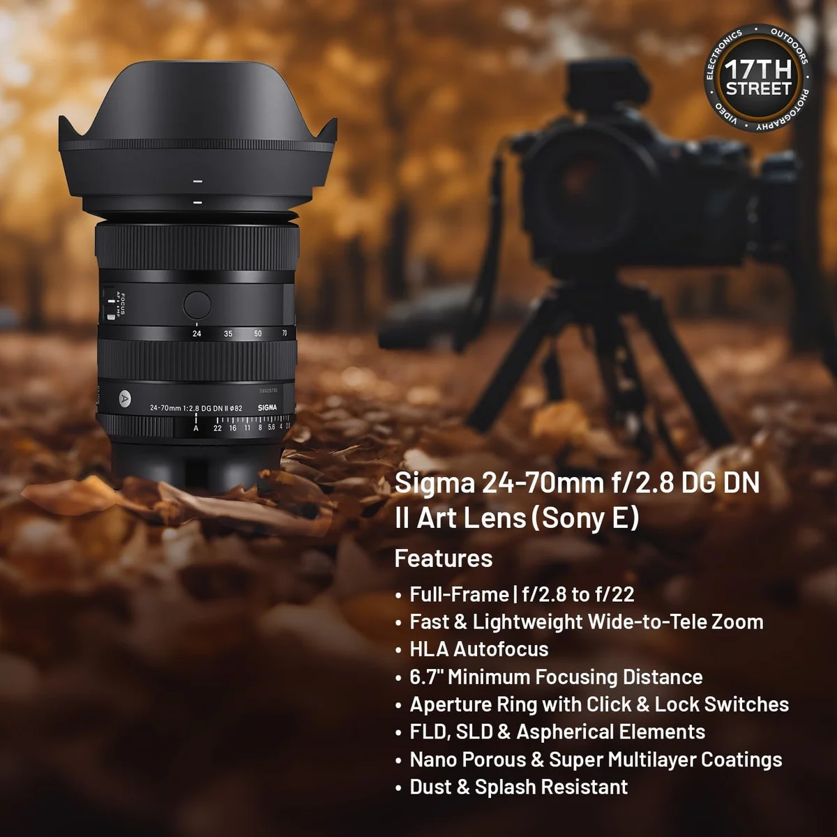 Sigma 24-70mm f/2.8 DG DN II Art (Sony E) — runner-up pick