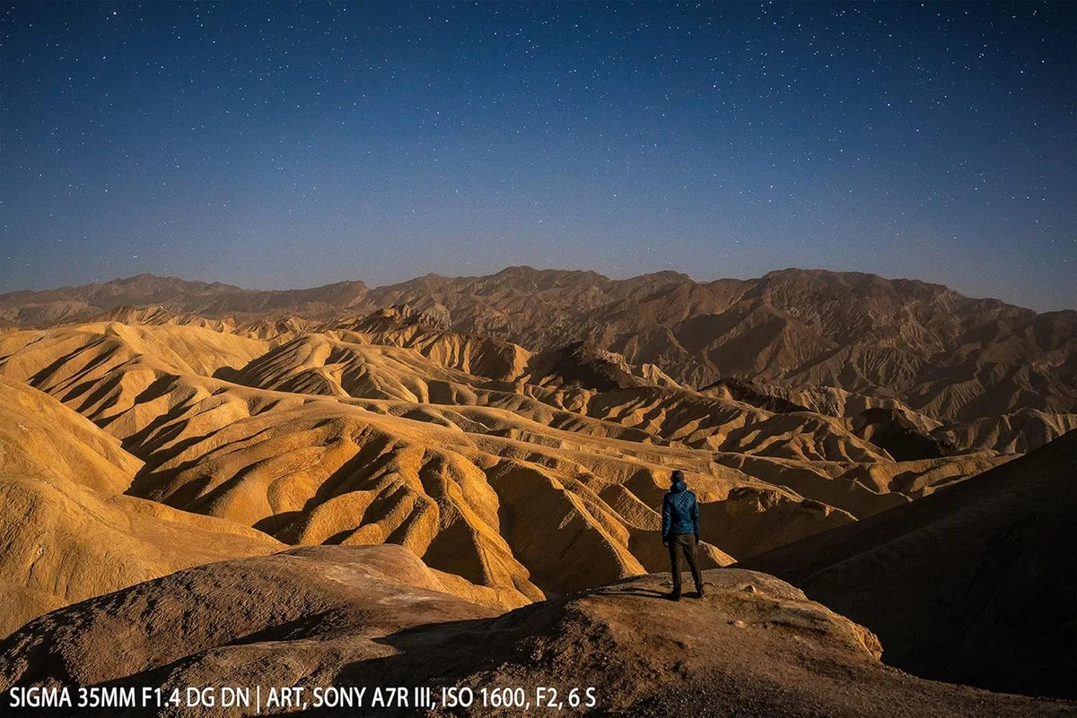 Sigma 35mm f/1.4 DG DN Art (Sony E) — detail close-up