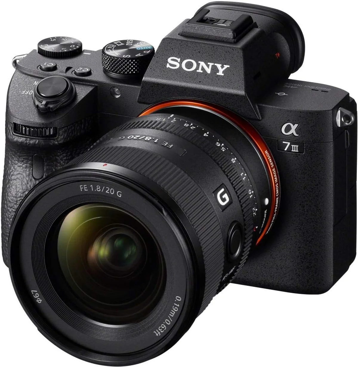Sony FE 20mm f/1.8 G — detail close-up