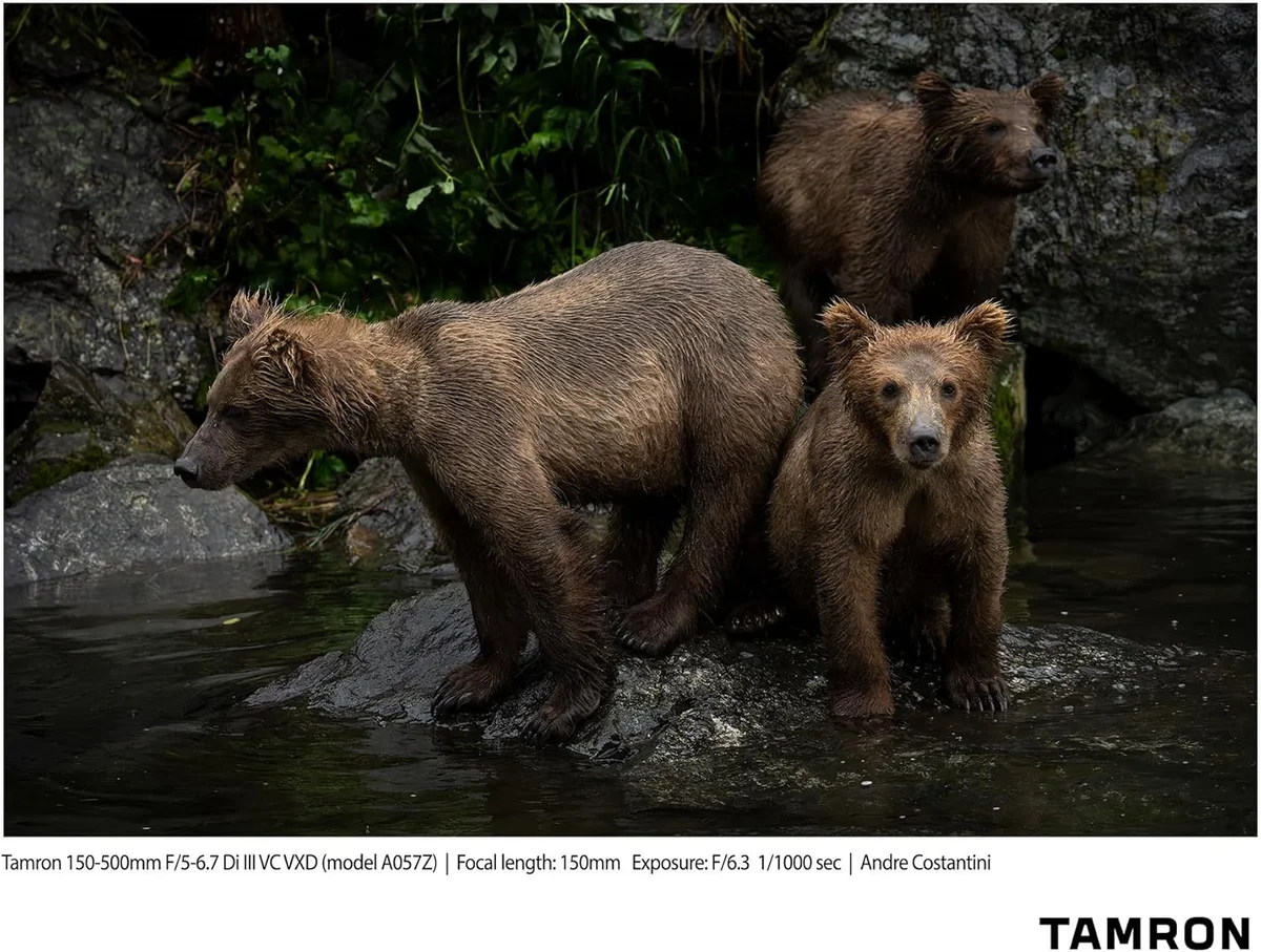 Tamron 150-500mm f/5-6.7 Di III VC VXD (Nikon Z) mounted on camera